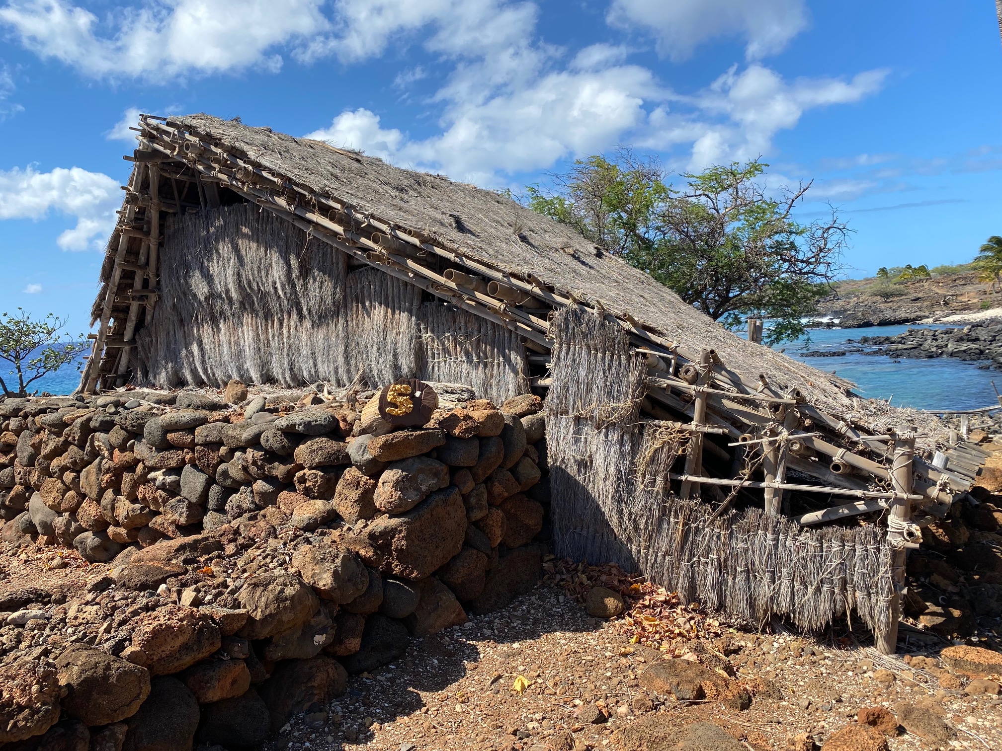 Since it’s easier nowadays to survive, let’s thrive!