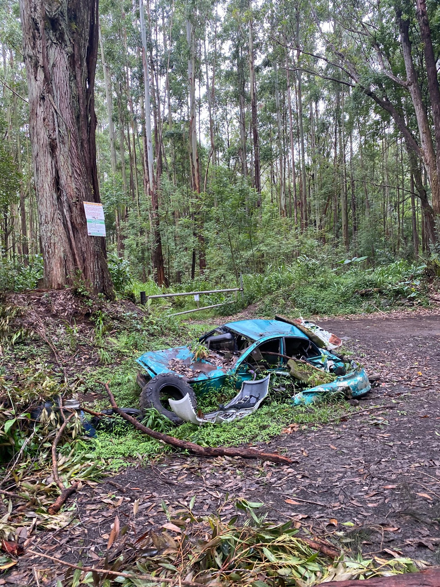 Lessons from an outsider in Hawaii: Stop for red lights and never give up on aloha