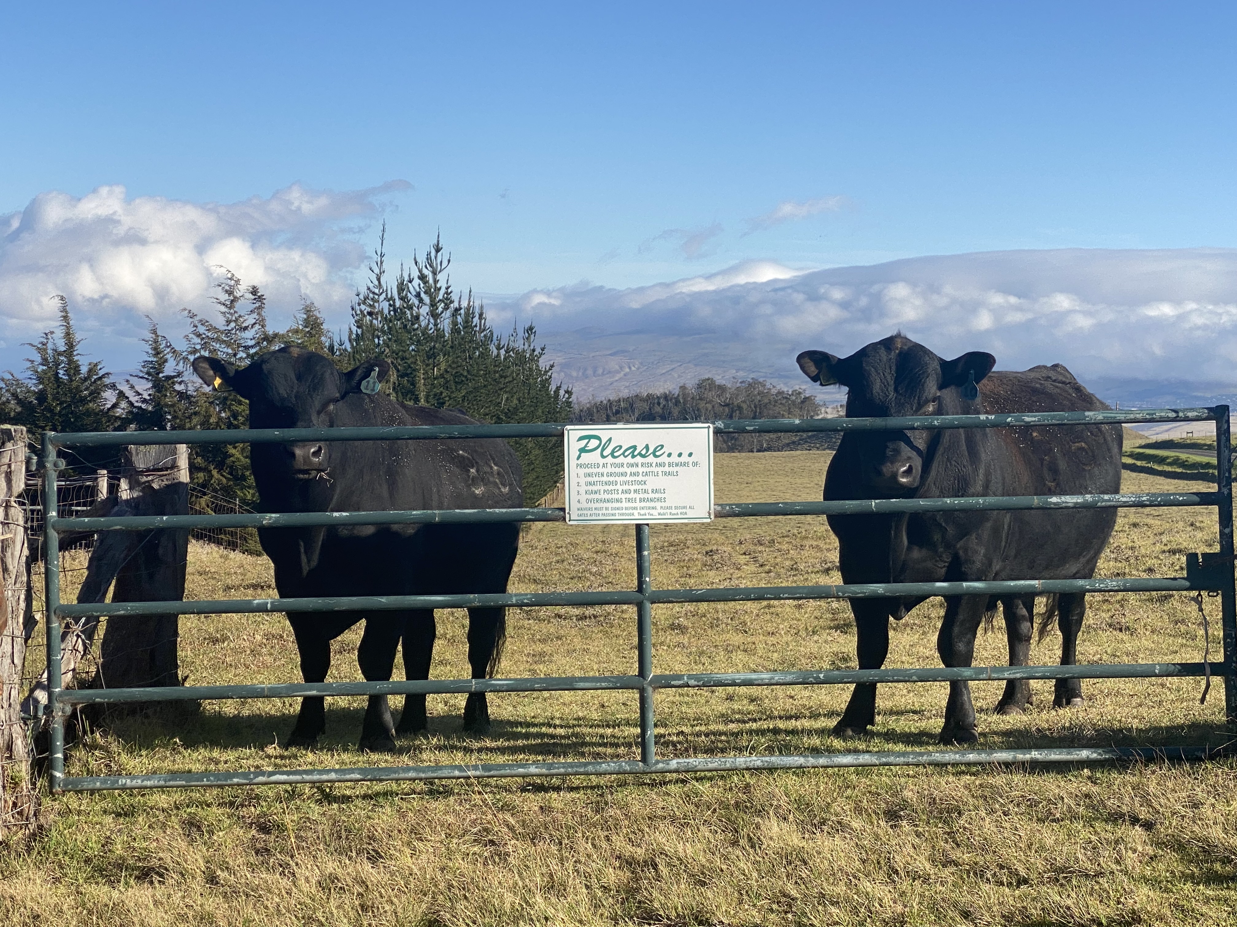 I won’t apologize for being a Creature of Habit