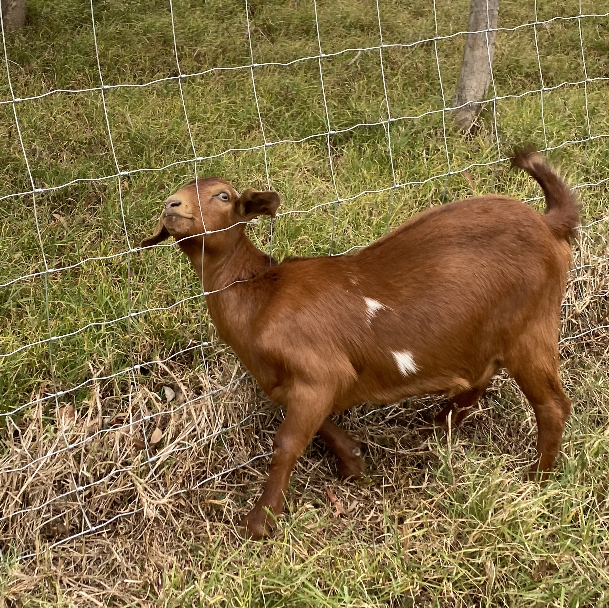 Stop searching for greener pastures, water where you live