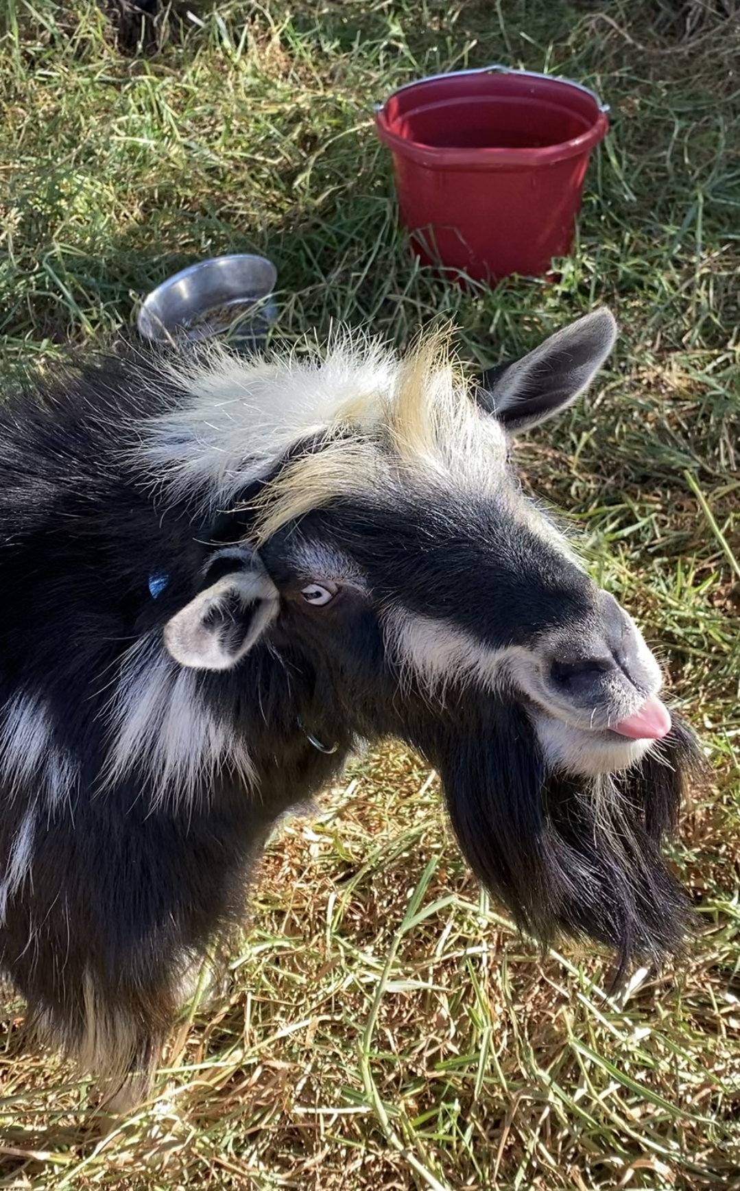 What the buck!? What to expect when you don’t know if you’re expecting