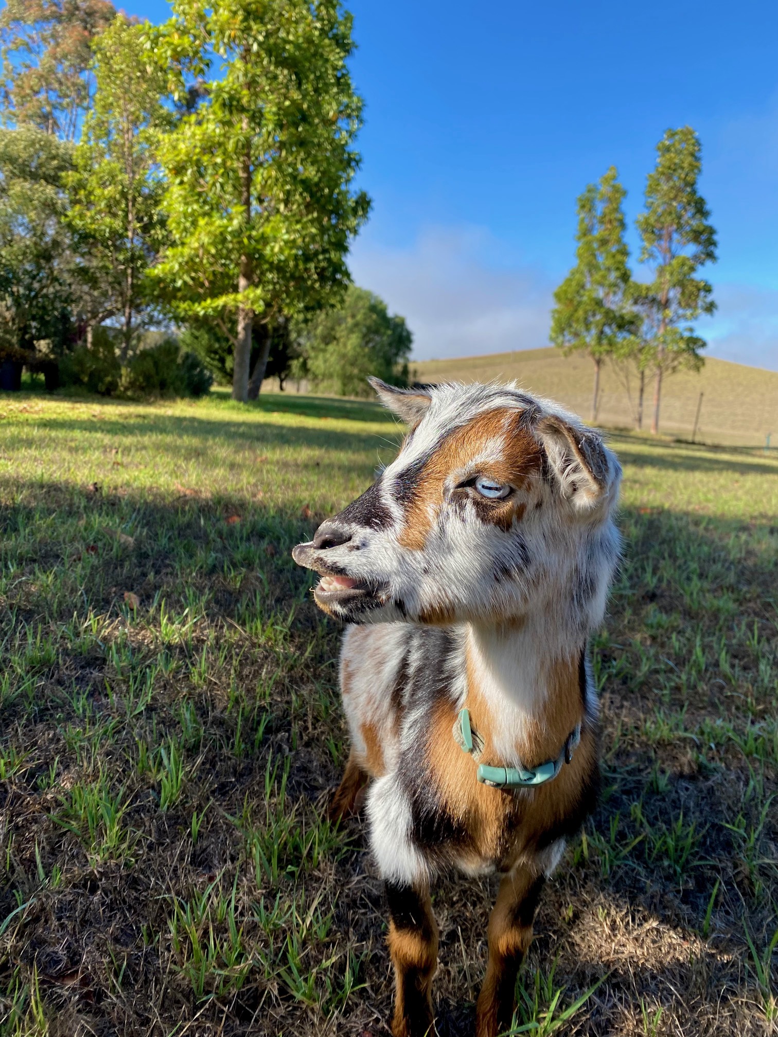 When your serenity bubble gets burst: 3 steps for restoring a spiritual state of mind