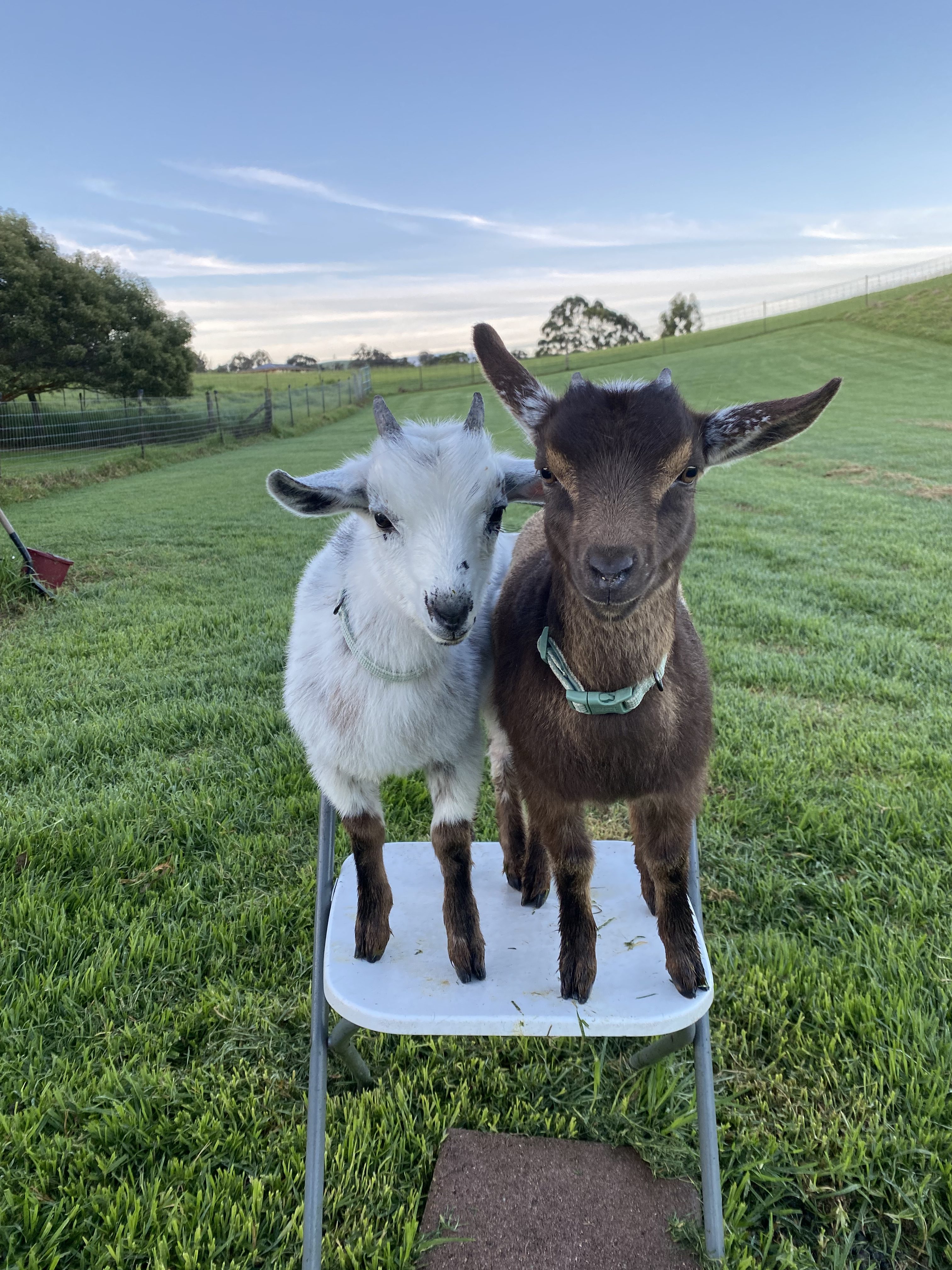 What if there was no one to thank?