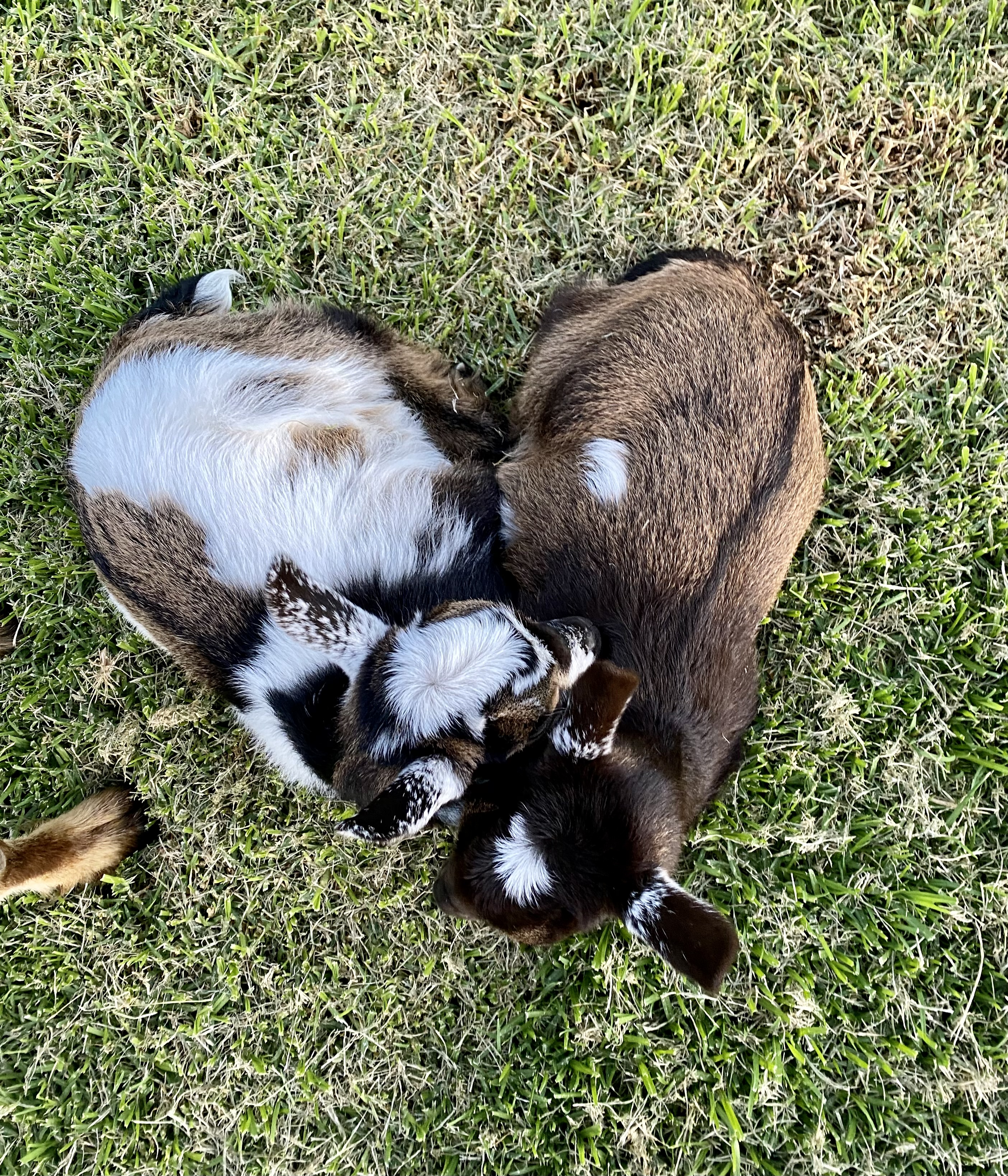 To my fellow recovering people-pleasers: love on you this Valentine’s Day